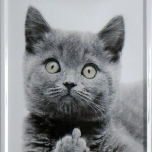 Witziges Retro Blechschild - Katzen-Deko 20x30 cm