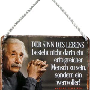 Vintage Blechschild Einstein Spruch Deko