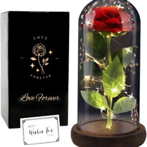 Ewige Rose in Glaskuppel mit LED