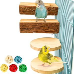Vogelsitzbrett Set mit Knabberspielzeug