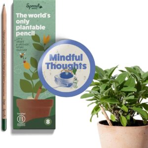SproutWorld Bleistifte mit Blumensamen - 8 Stück