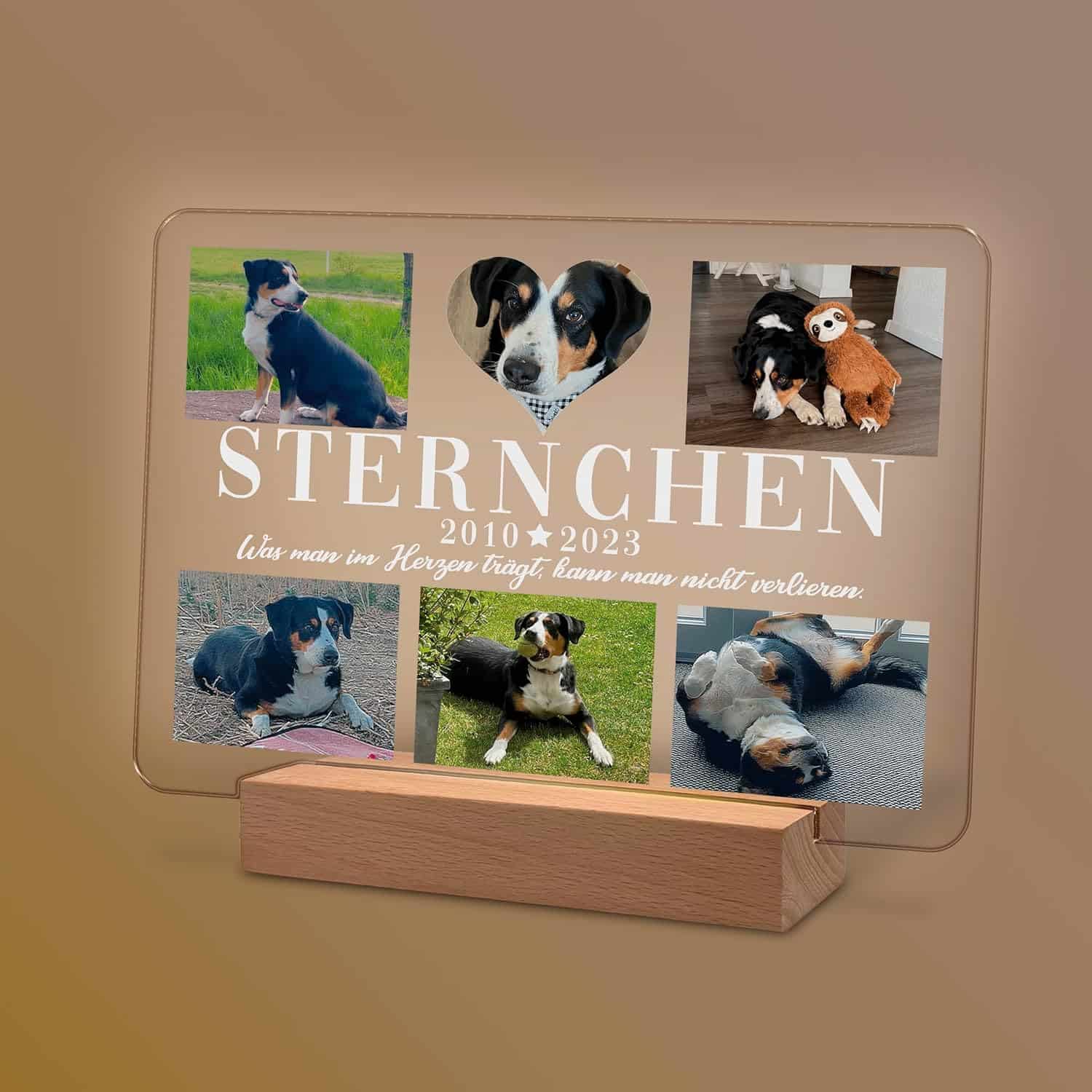 Personalisierte Fotogedenktafel für Haustiere