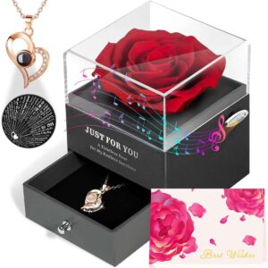 Ewige Rose Geschenkbox mit Halskette & Spieluhr