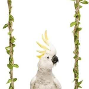 Naturholz Vogelspielzeug Schaukel