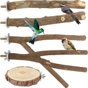 Naturholz Vogel Sitzstangen Set 5 Stück